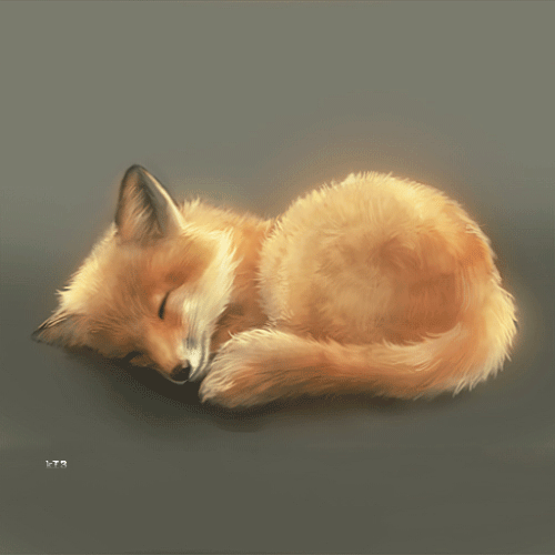 little kitsune fox sleeping